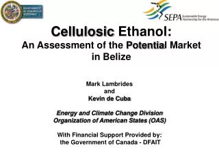 Cellulosic Ethanol: An Assessment of the Potentia l Market in Belize