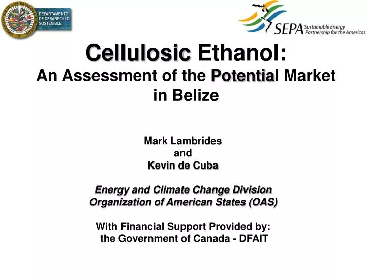 cellulosic ethanol an assessment of the potentia l market in belize