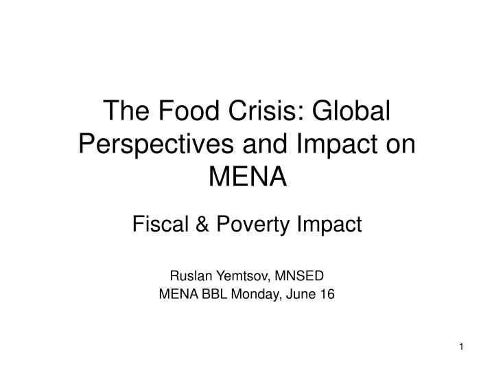 the food crisis global perspectives and impact on mena