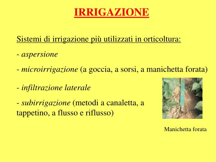 irrigazione