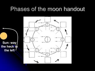 Phases of the moon handout