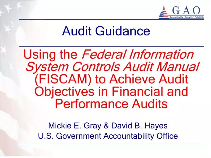 audit guidance