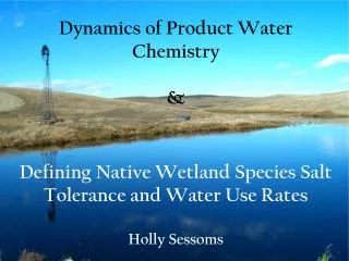 Dynamics of Product Water Chemistry &amp; Defining Native Wetland Species Salt Tolerance and Water Use Rates Holly Sess