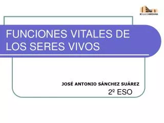 funciones vitales de los seres vivos