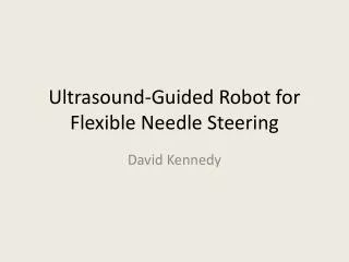 Ultrasound-Guided Robot for Flexible Needle Steering