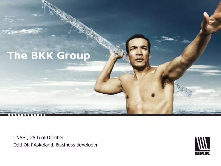 the bkk group