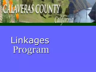 Linkages Program