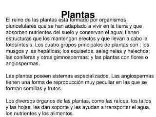 plantas