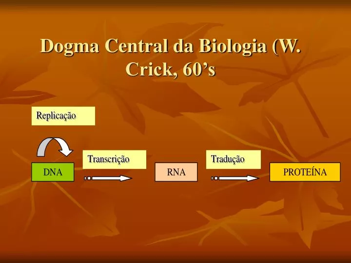 dogma central da biologia w crick 60 s