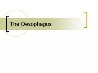 The Oesophagus