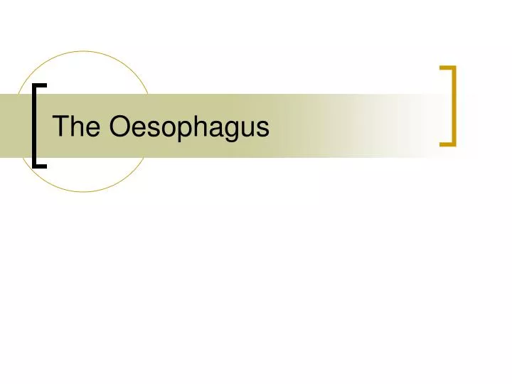 the oesophagus