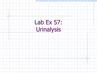 Lab Ex 57: Urinalysis