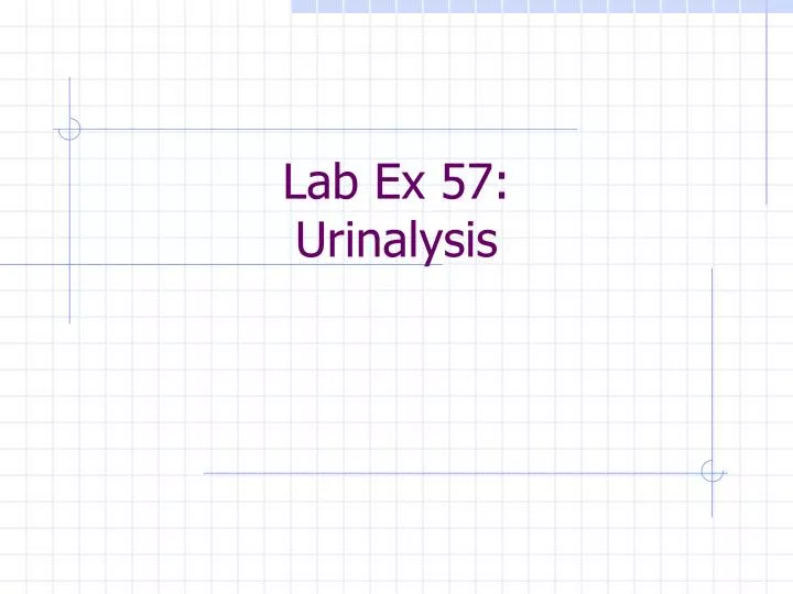 lab ex 57 urinalysis