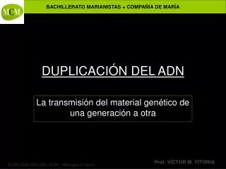 duplicaci n del adn