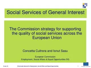 Social Services of General Interest