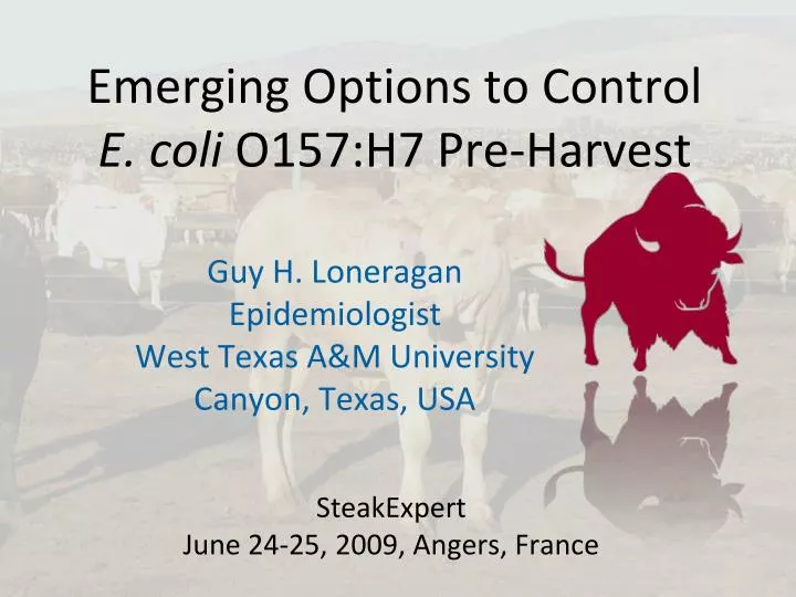 emerging options to control e coli o157 h7 pre harvest
