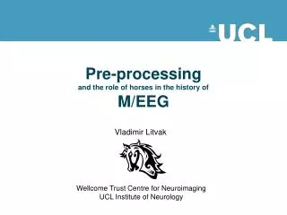 Pre-processing and the role of horses in the history of M/EEG
