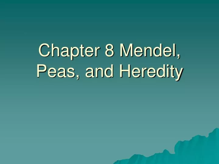 chapter 8 mendel peas and heredity