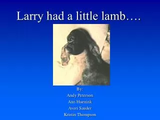 Larry had a little lamb….