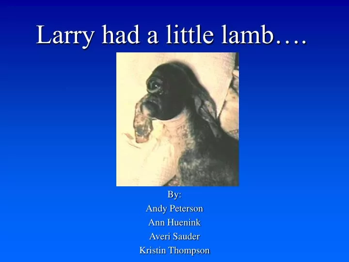 larry had a little lamb