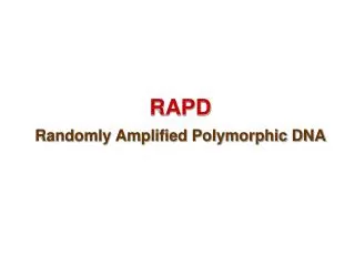 RAPD Randomly Amplified Polymorphic DNA