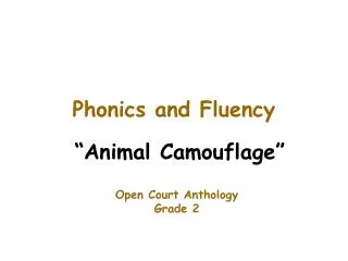 Phonics and Fluency