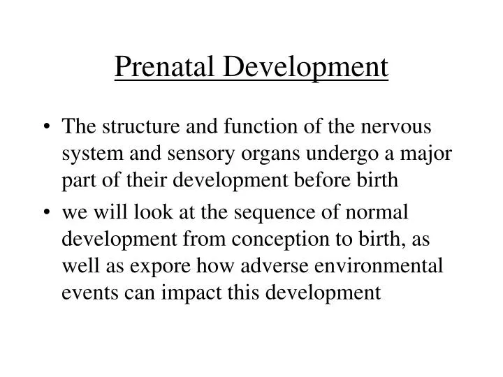 prenatal development