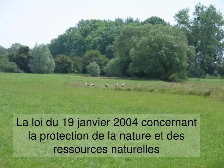 la loi du 19 janvier 2004 concernant la protection de la nature et des ressources naturelles