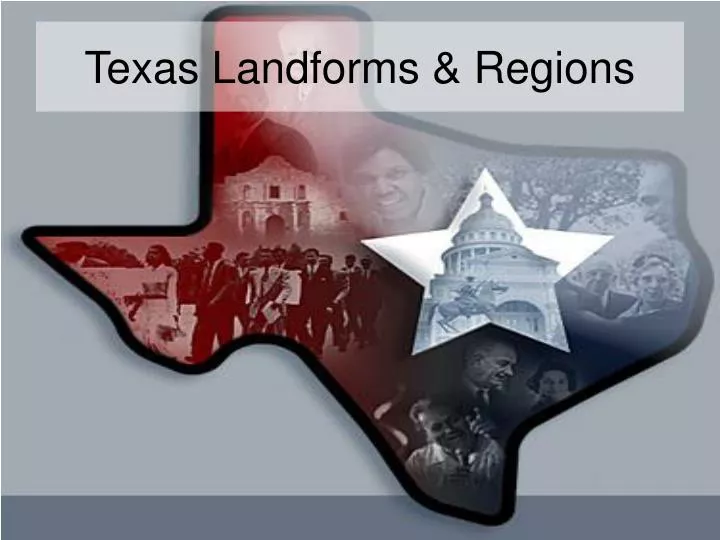 texas landforms regions