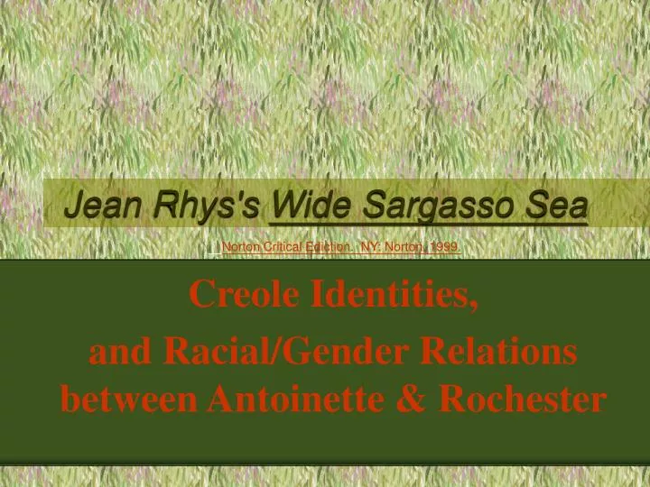 jean rhys s wide sargasso sea