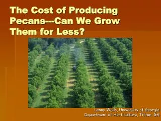 The Cost of Producing Pecans---Can We Grow Them for Less?