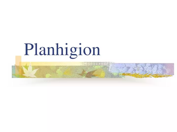 planhigion