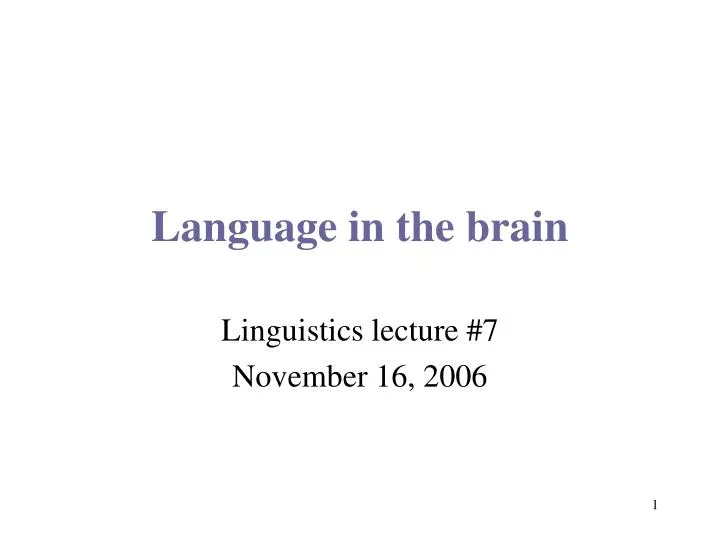 language in the brain