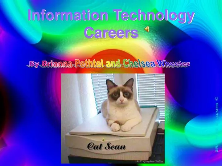information technology careers