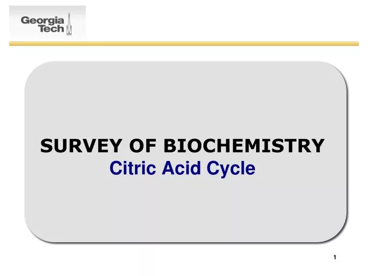 survey of biochemistry citric acid cycle