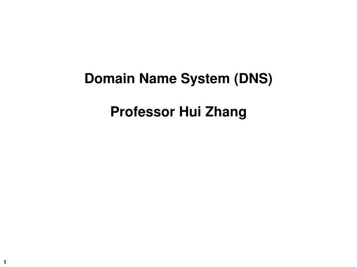 domain name system dns professor hui zhang