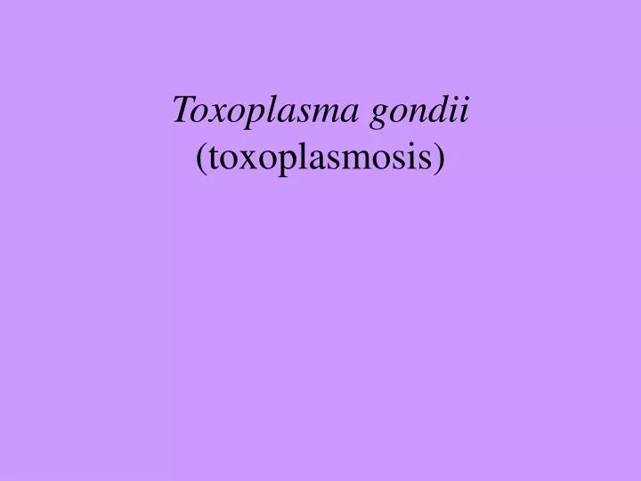 toxoplasma gondii toxoplasmosis