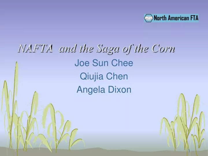 nafta and the saga of the corn