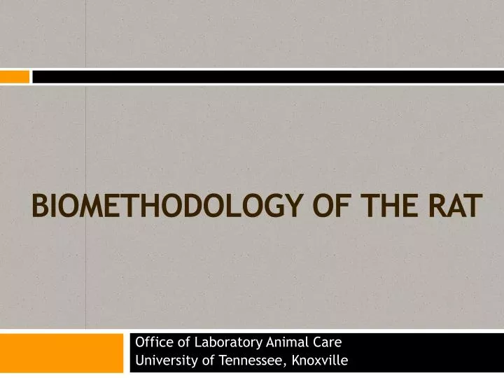 biomethodology of the rat