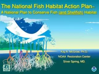 The National Fish Habitat Action Plan – A National Plan to Conserve Fish (and Shellfish) Habitat