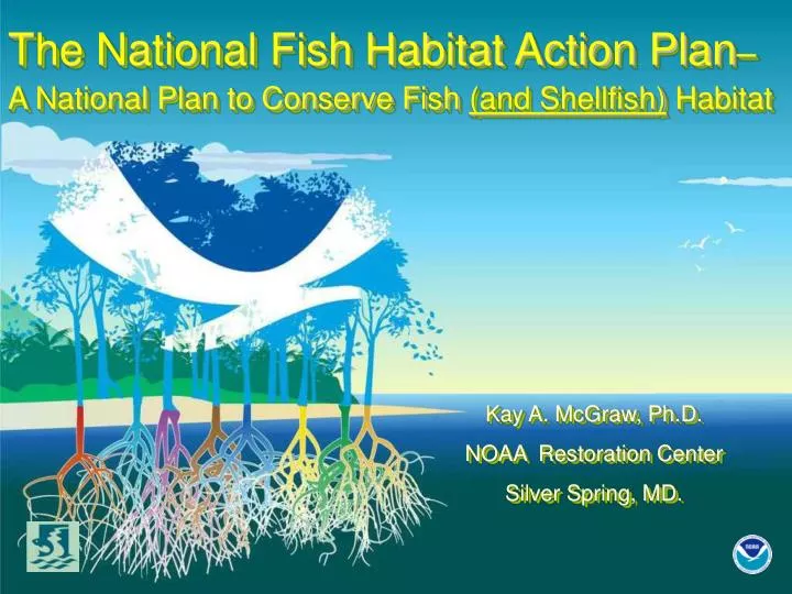 the national fish habitat action plan a national plan to conserve fish and shellfish habitat
