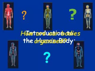 Introduction to the Human Body: