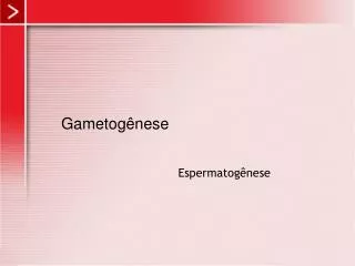 gametog nese