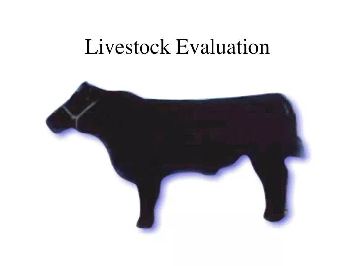 livestock evaluation