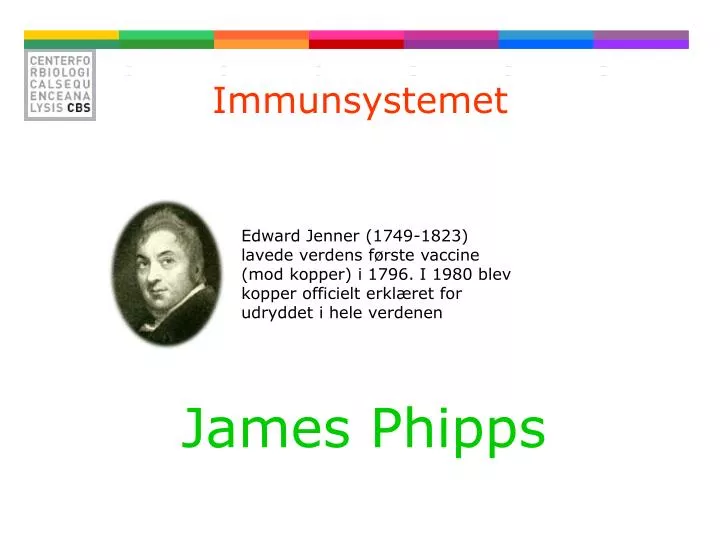 immunsystemet