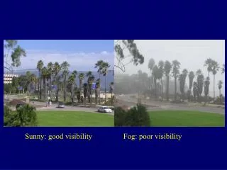 Sunny: good visibility