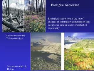 Ecological succession is the set of changes in community composition that occur over time in a new or disturbed communit