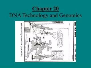 Chapter 20 DNA Technology and Genomics