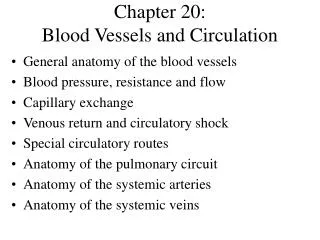 Chapter 20: Blood Vessels and Circulation