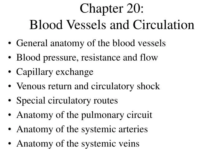chapter 20 blood vessels and circulation